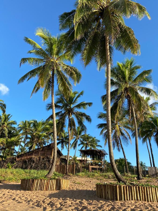 Bahia Surf Camp Hotell Abrantes Exteriör bild