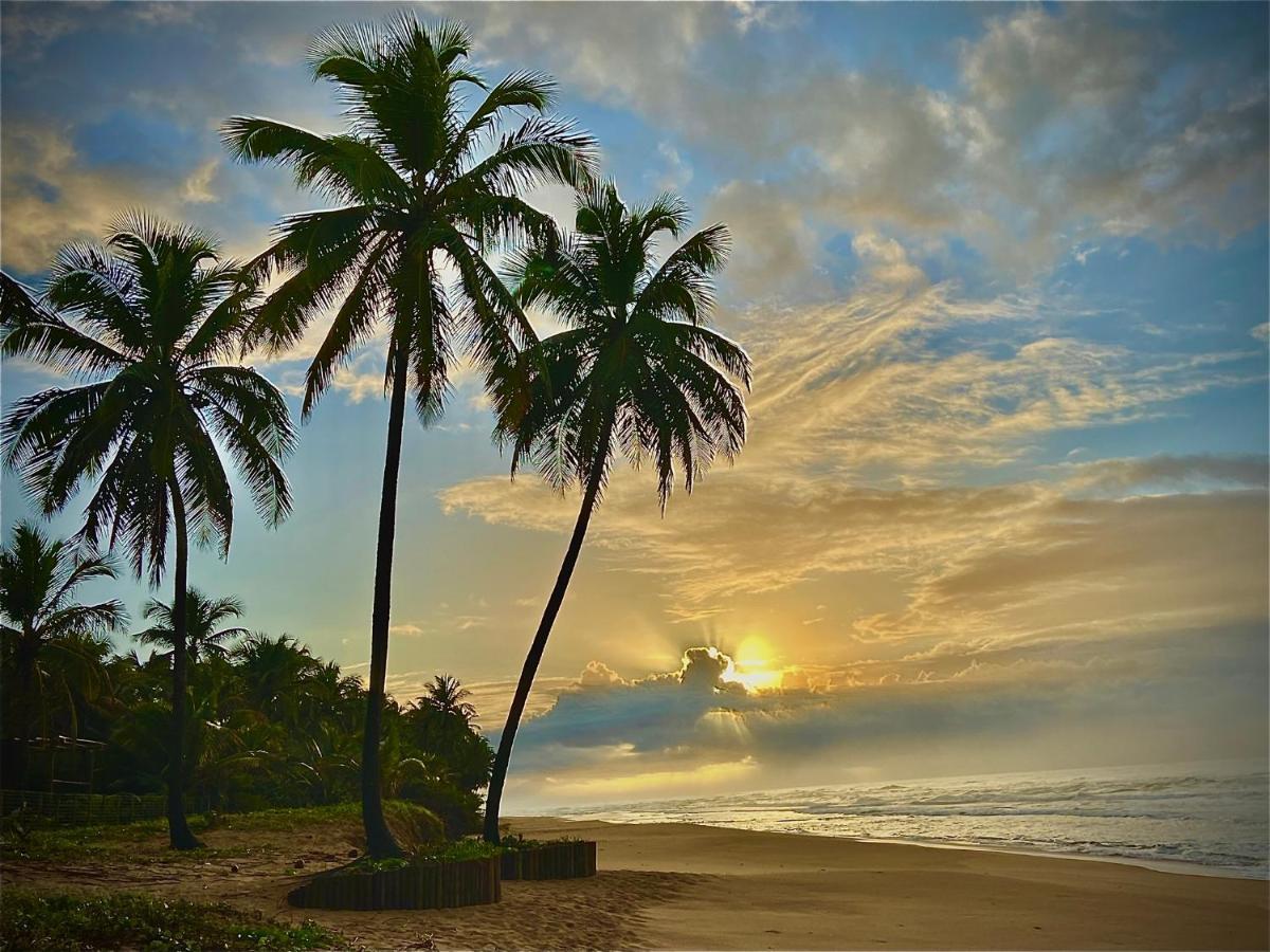 Bahia Surf Camp Hotell Abrantes Exteriör bild