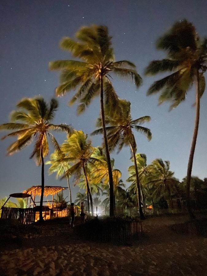 Bahia Surf Camp Hotell Abrantes Exteriör bild