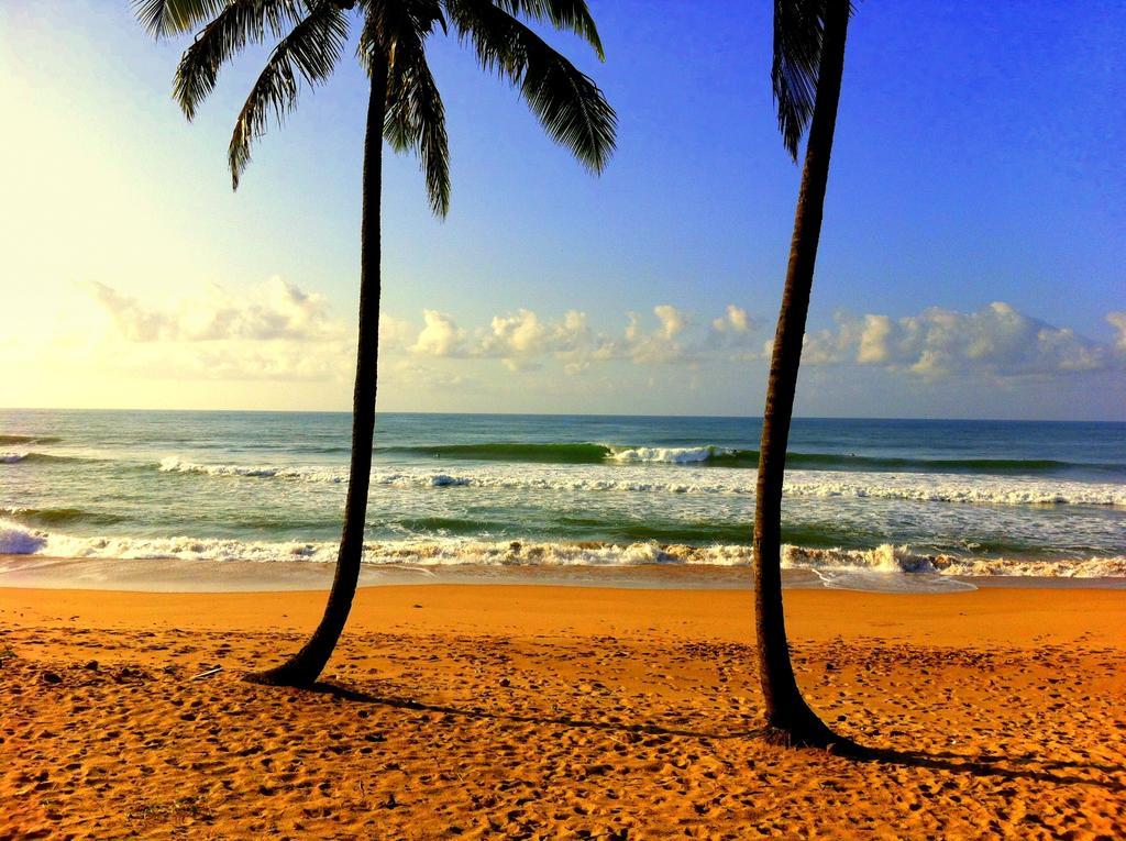 Bahia Surf Camp Hotell Abrantes Exteriör bild