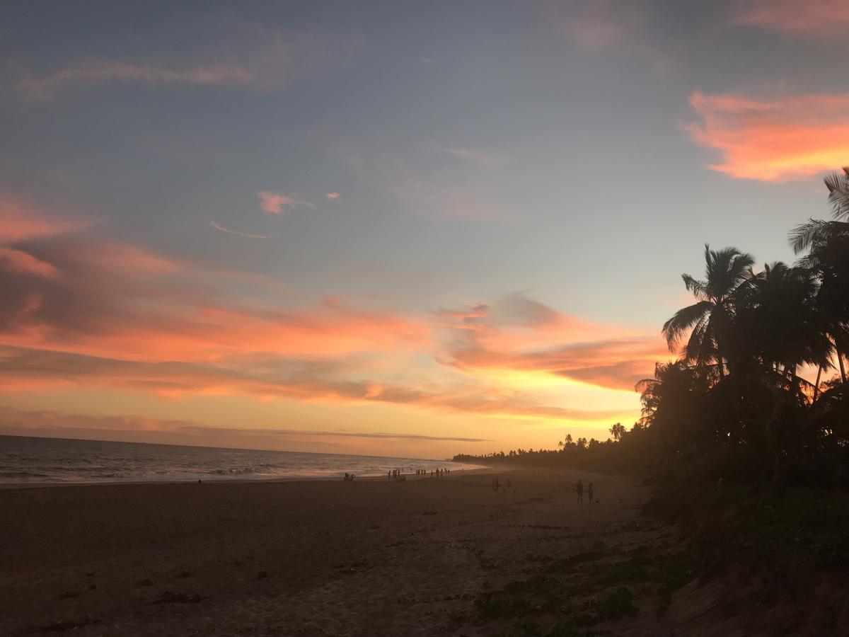 Bahia Surf Camp Hotell Abrantes Exteriör bild